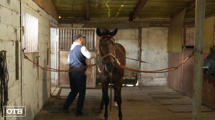 На Среднем Урале прошла тренировка лошадей для выступления на Сабантуе