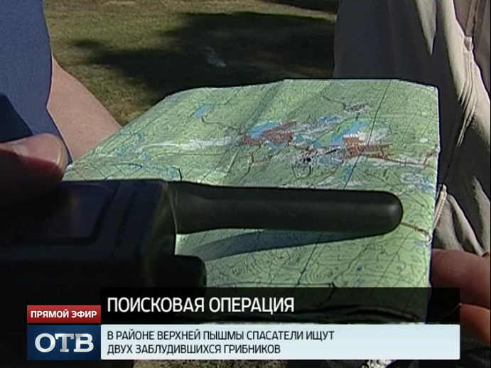В трех районах Свердловской области ищут заблудившихся грибников