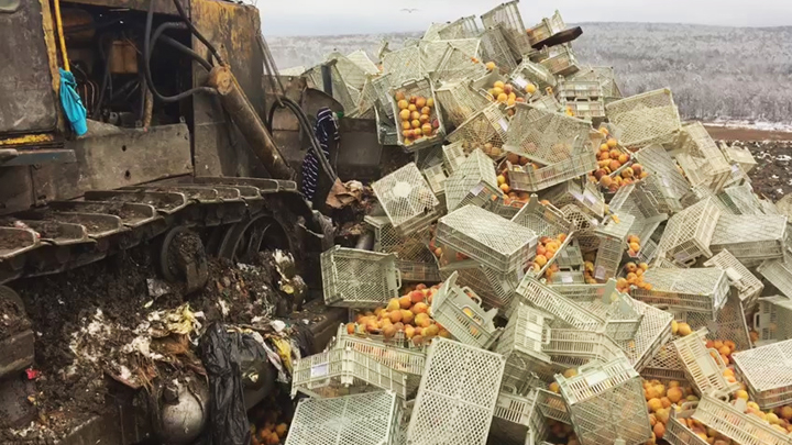 Под Екатеринбургом уничтожили пять тонн заражённых персиков