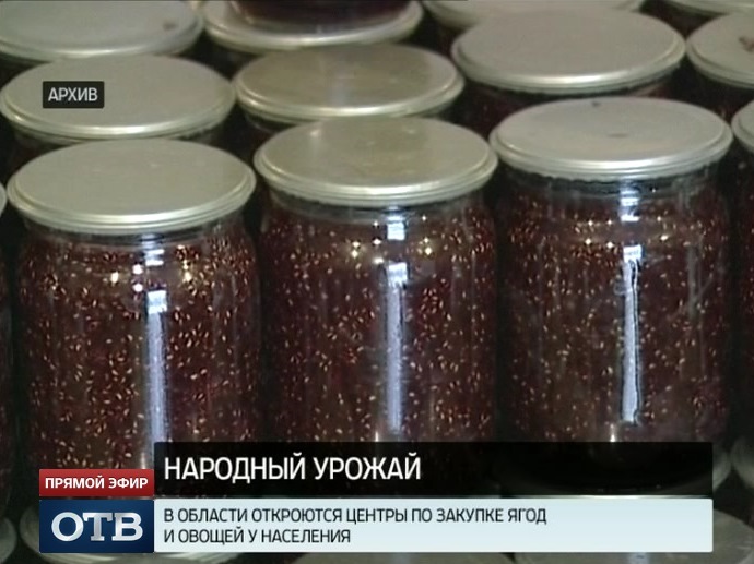 На Среднем Урале откроются центры по закупке ягод и овощей