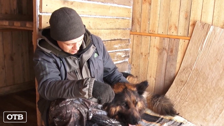 Уральские волонтёры спасли овчарку, дрейфовавшую на льдине двое суток