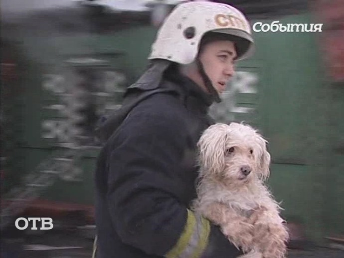 Екатеринбургские пожарные спасли собаку из полыхающего дома
