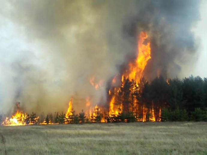 Три лесных пожара вспыхнули на юге Свердловской области; два из них уже потушены