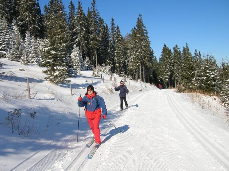 9 февраля в Нижнем Тагиле пройдёт региональный этап «Лыжни России»