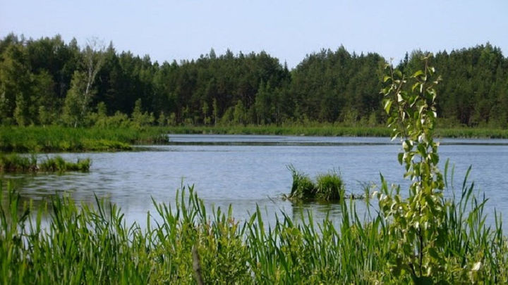 Опасная жара: на водоёмах Среднего Урала утонули 40 человек