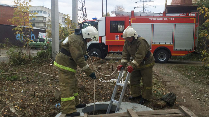 В Невьянске пожарные спасли собаку, провалившуюся в канализацию