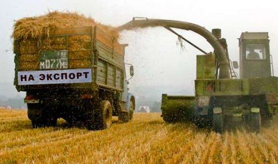 Россия стала основным поставщиком зерна в Пакистан