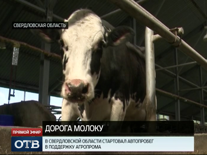 На Среднем Урале стартовал «молочный» автопробег