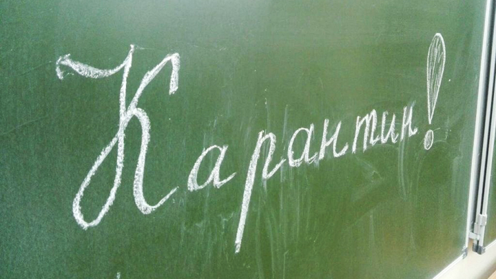 Все школы Екатеринбурга закроют на карантин из-за ОРВИ