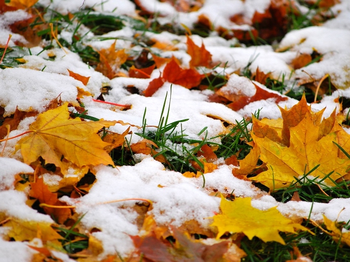 Золотую осень на Среднем Урале сменят снег с дождём