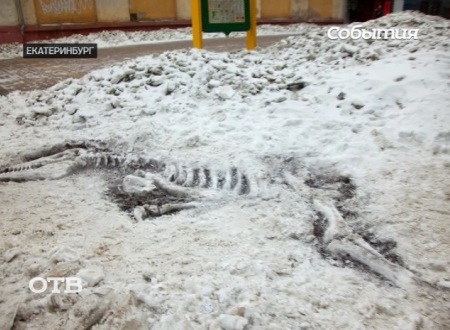 В центре Екатеринбурга «оттаял» скелет динозавра