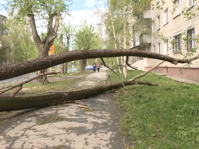 В Екатеринбурге подсчитывают убытки после урагана