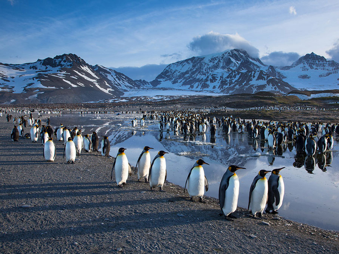 День календаря: открытие Антарктиды