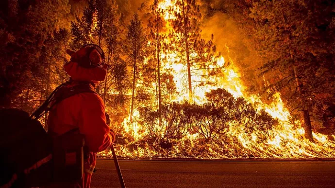 Пожар под Верхней Пышмой локализован: горело 14 гектаров леса