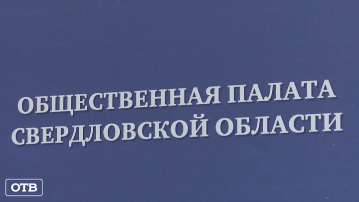 В общественной палате Свердловской обасти обсудили проблемы домашнего насилия