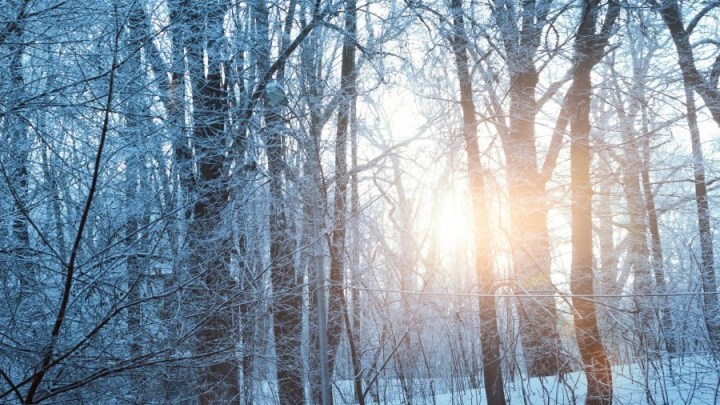 Снега не ждите: погода в Свердловской области 12-14 ноября