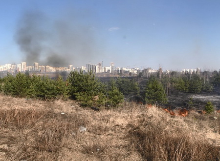 До Екатеринбурга добрались первые лесные пожары