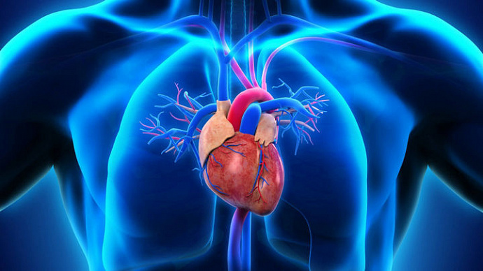 Взлёт медицины: учёные совершили научный прорыв в кардиологии