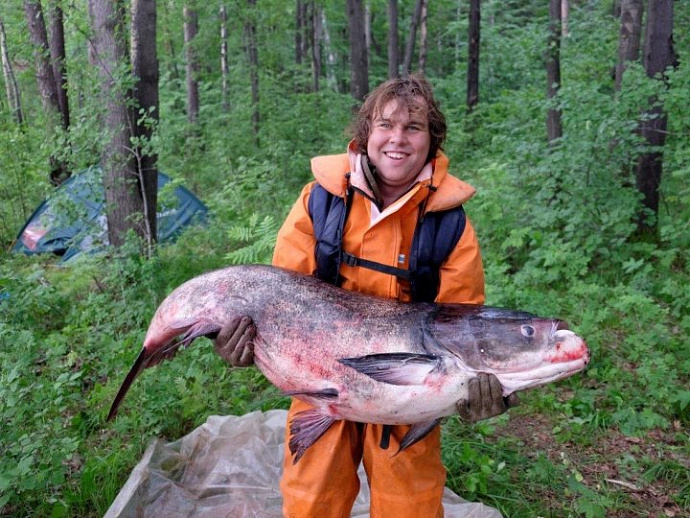 Рыба моей мечты: на Среднем Урале поймали 40-килограммового толстолобика