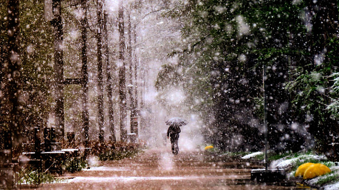 Зима без морозов и снега: погода в Свердловской области на 14-16 декабря