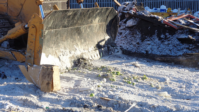 Яблоки на снегу: в Екатеринбурге раздавили 60 кг нелегальных фруктов