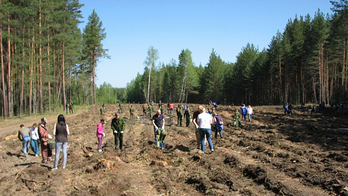 В Свердловской области на 102 % выполнен план по посадке леса