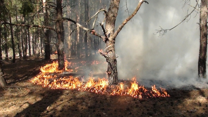 С лесными пожарами на Среднем Урале будут бороться 4620 человек
