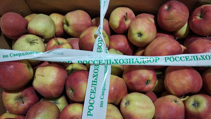 В Екатеринбурге уничтожили 298 кг яблок неизвестного происхождения