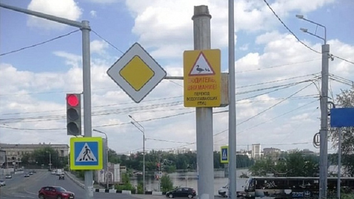 «Внимание, Утки!»: в Нижнем Тагиле установили дорожные знаки для спасения птиц
