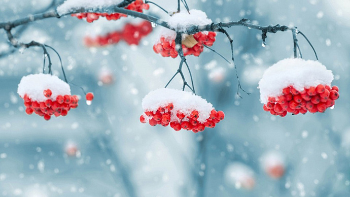 Долгожданное потепление: погода в Свердловской области на 25-28 января