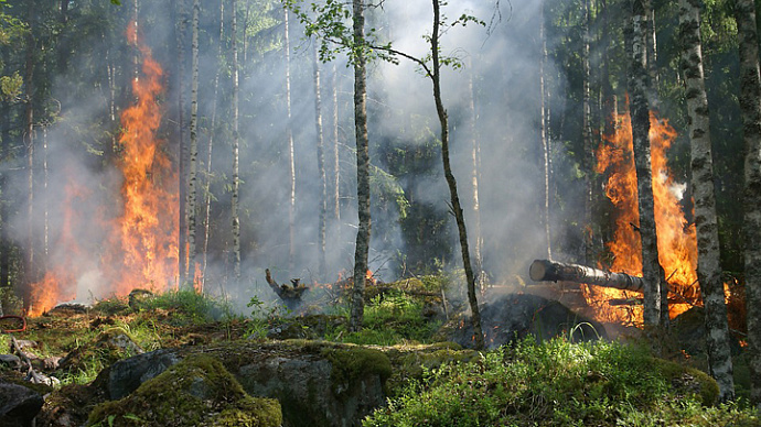 На Среднем Урале зафиксирован первый в этом году лесной пожар