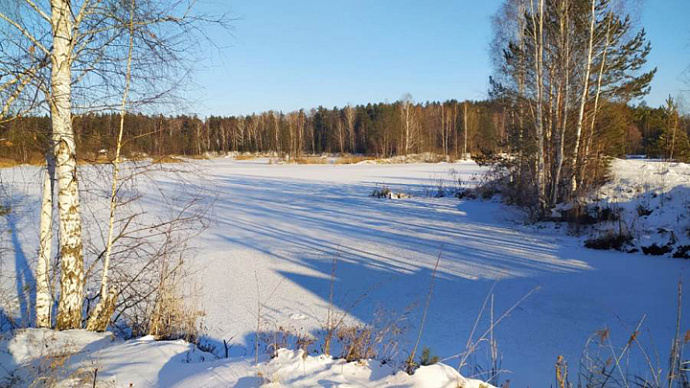 Морозы отступают: погода в Свердловской области 22-24 ноября