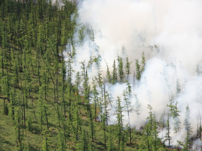 Власти ЯНАО поблагодарили уральцев за помощь в борьбе с лесными пожарами