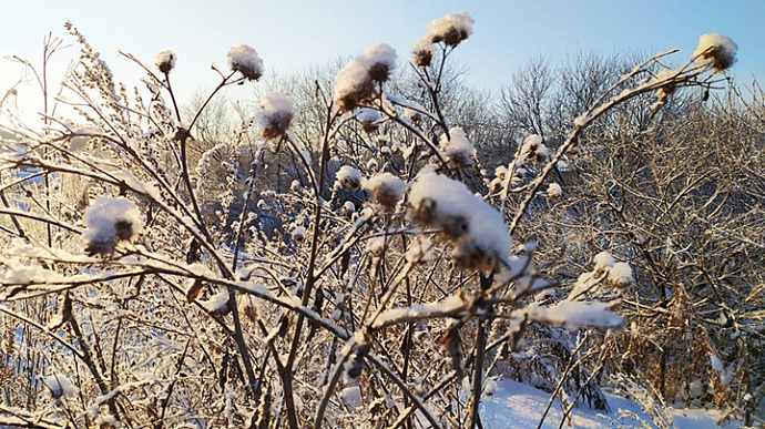 Без сильных морозов и снега: погода в Свердловской области 11-13 декабря
