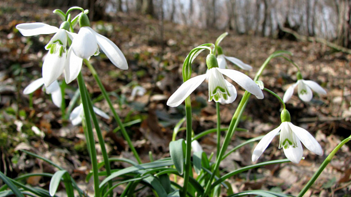 Весна на паузе: погода в Свердловской области 16-18 апреля