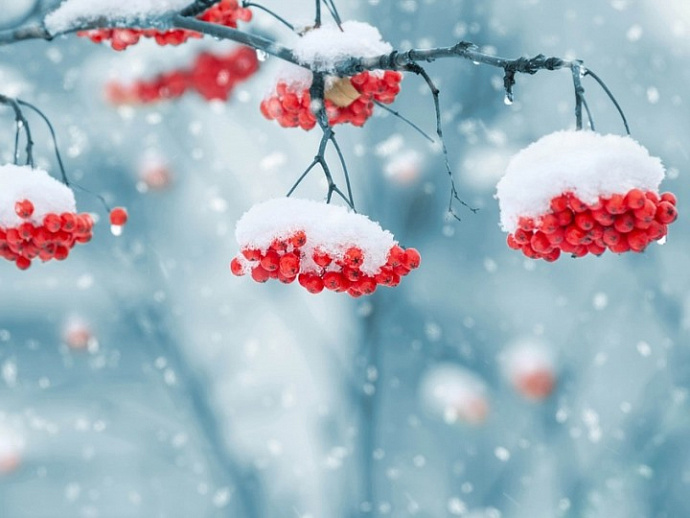 Сильный снег с метелями: погода в Свердловской области на 8-10 декабря