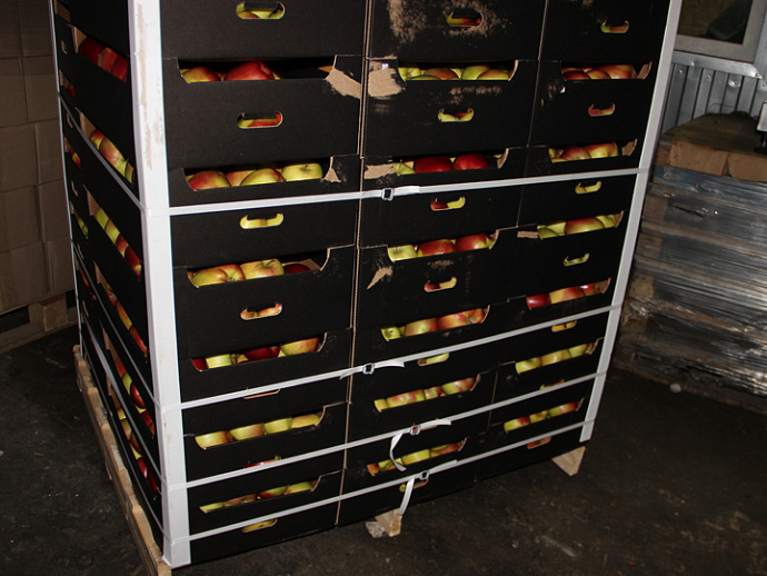 В Екатеринбурге уничтожено свыше 20 тонн яблок из Польши