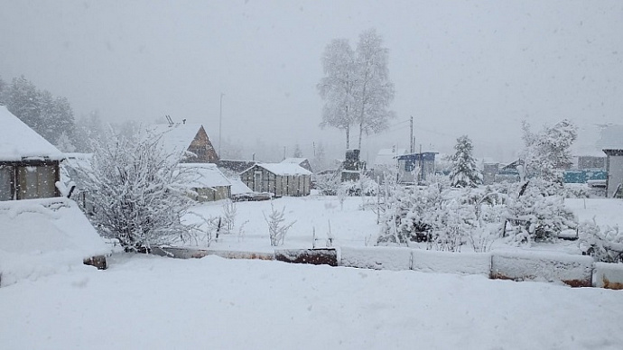 Лето близко: в Свердловской области 22 мая выпал снег