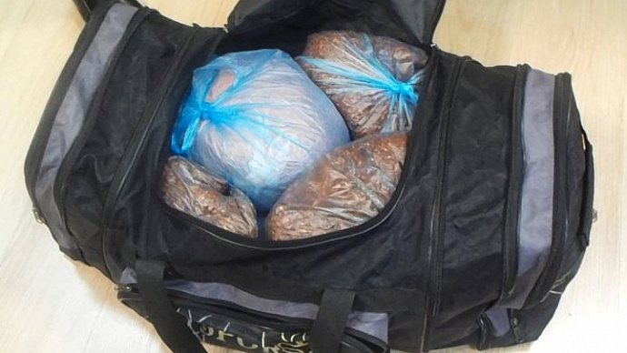 В Кольцово у пассажира из Ташкента изъяли 20 кг специй