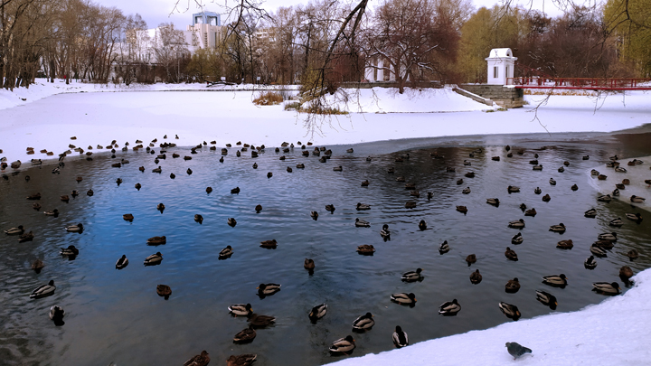 В Екатеринбурге побит температурный рекорд для 17 января