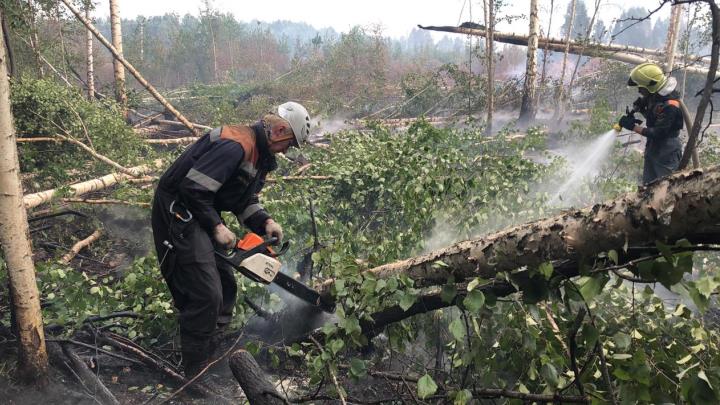 Природный пожар у деревни Хомутовки ликвидирован