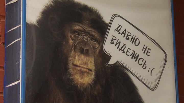 Итоги недели: жизнь Екатеринбургского зоопарка без посетителей