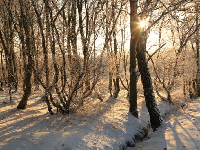 Первые зимние выходные на Среднем Урале будут тёплыми