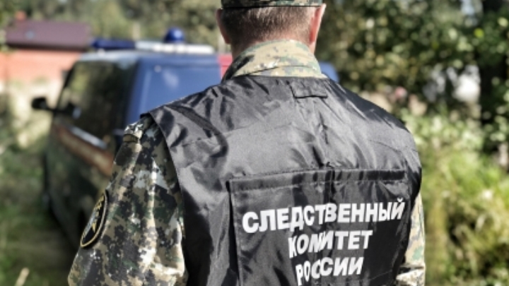 Житель Новоуральска получил реальный срок за укус полицейского