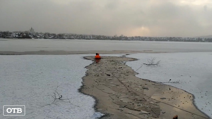На Нижнетагильском пруду спасли собаку, провалившуюся под лёд