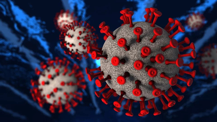В России выявили 658 новых случаев коронавирусной инфекции