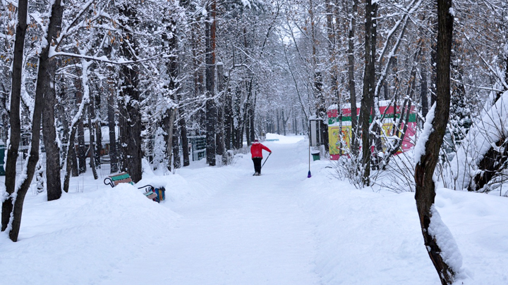 Потеплеет к выходным: погода в Свердловской области до 2 февраля