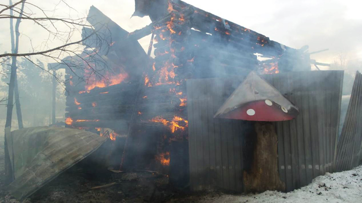 «Эльбрус» в огне: под Екатеринбургом горел питомник ездовых собак