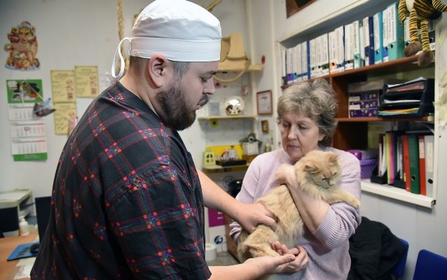 В Екатеринбурге ветврачи бесплатно простерилизуют более тысячи домашних животных