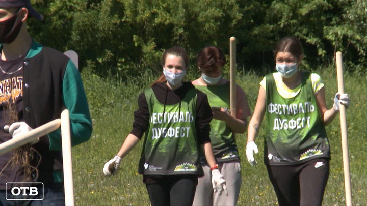 Уральские волонтёры высадили 4000 деревьев в преддверии Дня эколога 